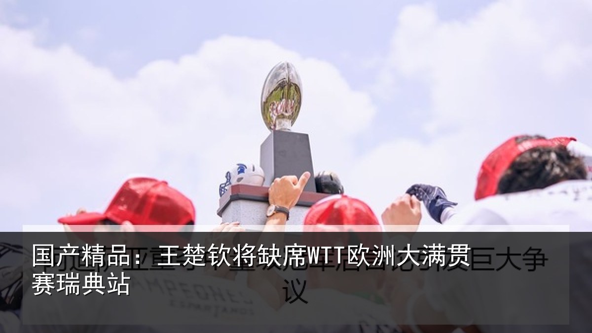 国产精品:王楚钦将缺席WTT欧洲大满贯赛瑞典站
