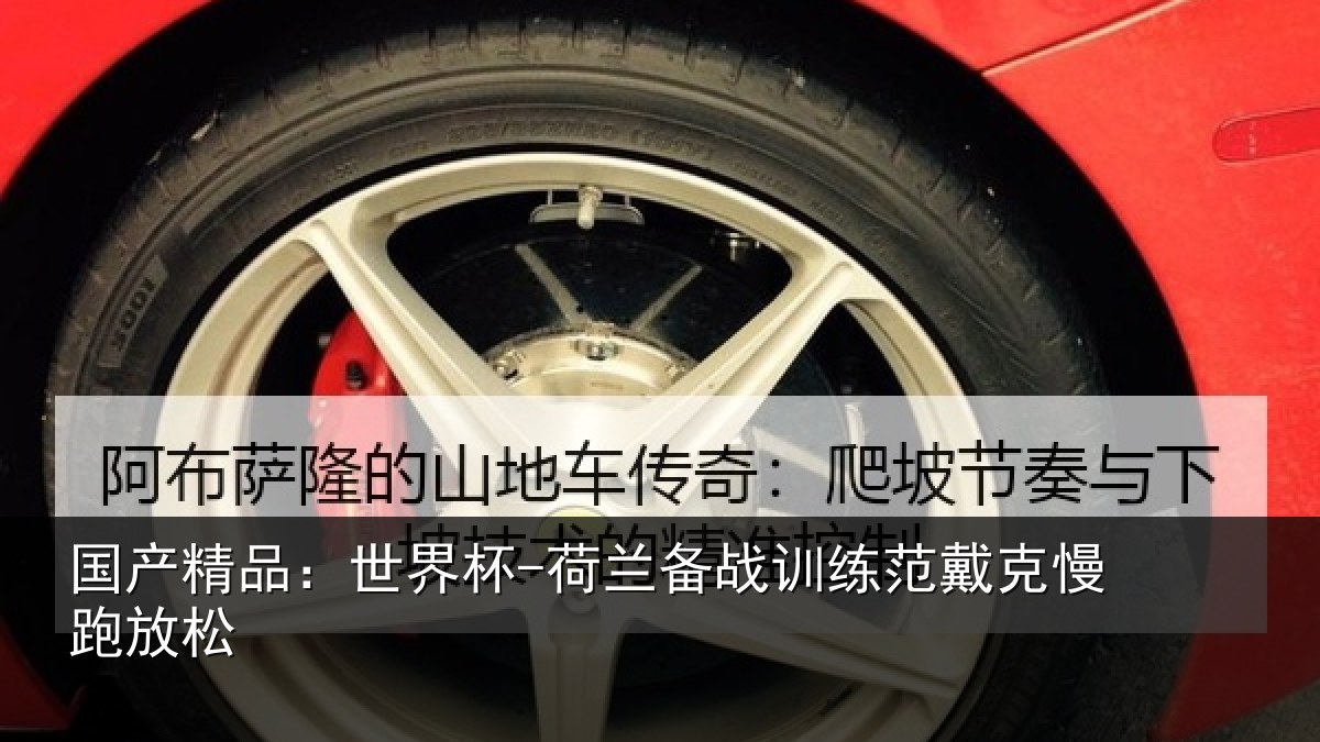 国产精品:世界杯-荷兰备战训练范戴克慢跑放松