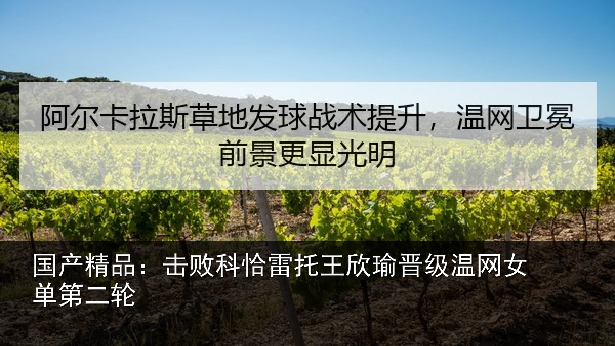 国产精品：击败相关情况级温网女单第二轮