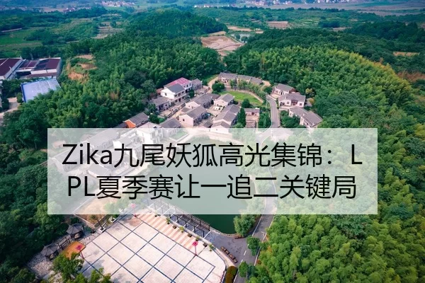 Zika九尾妖狐高光集锦：LPL夏季赛让一追二关键局